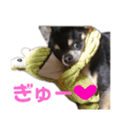 まっそのコロ助（個別スタンプ：14）