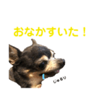 まっそのコロ助（個別スタンプ：19）