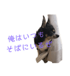 まっそのコロ助（個別スタンプ：20）