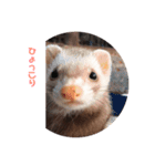 くるり＆こてつ（個別スタンプ：3）