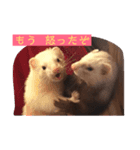 くるり＆こてつ（個別スタンプ：4）