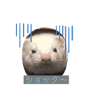 くるり＆こてつ（個別スタンプ：5）