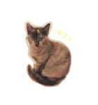 きらな（個別スタンプ：1）