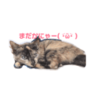 きらな（個別スタンプ：5）