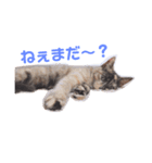 きらな（個別スタンプ：7）