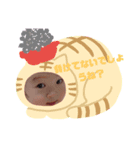 たけだ家Takedake（個別スタンプ：3）
