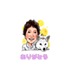 柴犬ポニー（個別スタンプ：4）