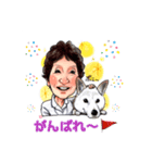 柴犬ポニー（個別スタンプ：8）