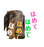 まっくすたんプ（個別スタンプ：5）