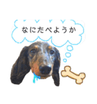 まっくすたんプ（個別スタンプ：7）