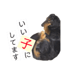 まっくすたんプ（個別スタンプ：15）