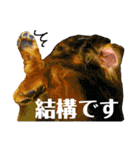 まっくすたんプ（個別スタンプ：21）