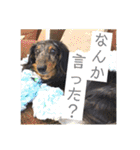 まっくすたんプ（個別スタンプ：22）