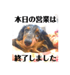 まっくすたんプ（個別スタンプ：23）