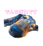 まっくすたんプ（個別スタンプ：24）