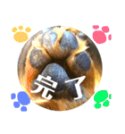 まっくすたんプ（個別スタンプ：25）