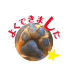 まっくすたんプ（個別スタンプ：26）