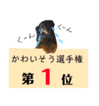 まっくすたんプ（個別スタンプ：27）