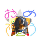 まっくすたんプ（個別スタンプ：33）