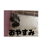 うしまるスタンプ Part 1（個別スタンプ：2）