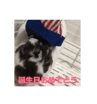 うしまるスタンプ Part 1（個別スタンプ：8）