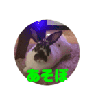 うしまるスタンプ Part 1（個別スタンプ：9）