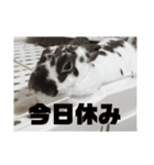 うしまるスタンプ Part 1（個別スタンプ：10）