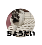 うしまるスタンプ Part 1（個別スタンプ：12）