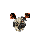 我が家のリオ（個別スタンプ：5）