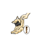 我が家のリオ（個別スタンプ：14）