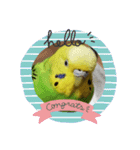 coco＆namio（個別スタンプ：23）