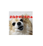 チャーミーのスタンプいちっ！（個別スタンプ：4）