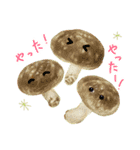 YAOYA！（個別スタンプ：8）