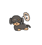 どうぶつ等スタンプ（個別スタンプ：17）