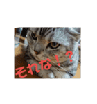 男子高校生の飼い猫with鹿（個別スタンプ：2）