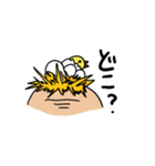 おじじとヒヨコ（個別スタンプ：5）