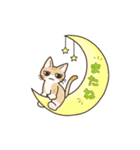 ねこ時々たこ2（個別スタンプ：8）