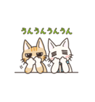 ねこ時々たこ2（個別スタンプ：38）