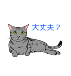 あめしょのぎんぱち心（個別スタンプ：8）