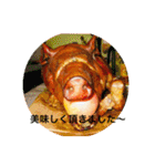 リアルご飯スタンプ！！（個別スタンプ：4）