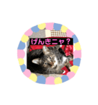みる姐さんの日常スタンプ（個別スタンプ：11）
