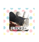 みる姐さんの日常スタンプ（個別スタンプ：12）