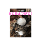 みる姐さんの日常スタンプ（個別スタンプ：16）