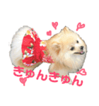 ストレンジ犬ゆうちゃんの筋肉な日々（個別スタンプ：9）