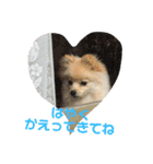 ストレンジ犬ゆうちゃんの筋肉な日々（個別スタンプ：15）