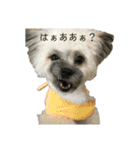 受け口姫あま（個別スタンプ：21）