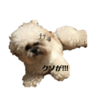 受け口姫あま（個別スタンプ：29）