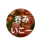 oh, sashimi sticker（個別スタンプ：3）