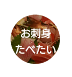 oh, sashimi sticker（個別スタンプ：4）