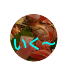 oh, sashimi sticker（個別スタンプ：6）